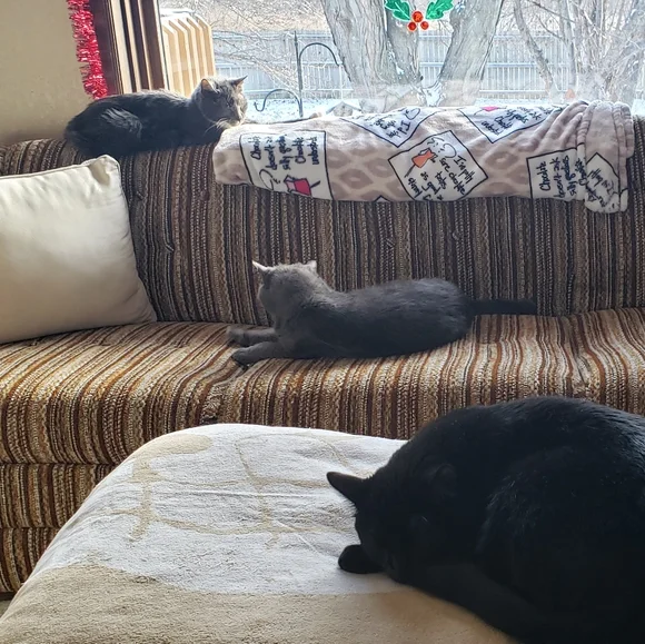 I Miss You So Much - Picture 8 of 15